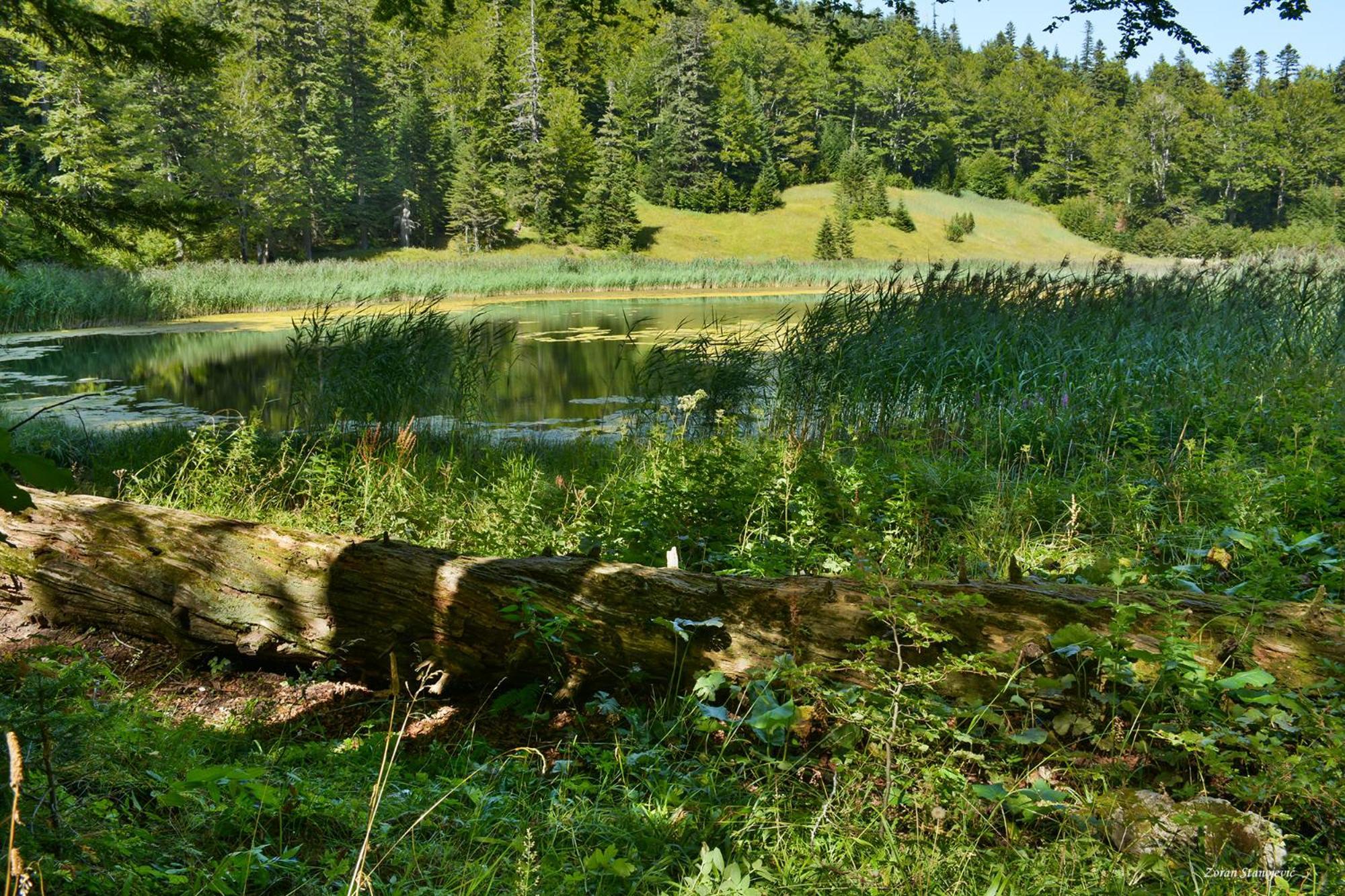 Отель Camp Divlja Rijeka Hum Экстерьер фото