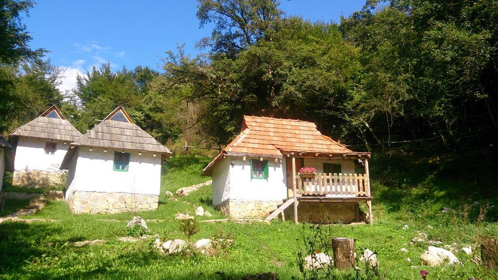 Отель Camp Divlja Rijeka Hum Экстерьер фото