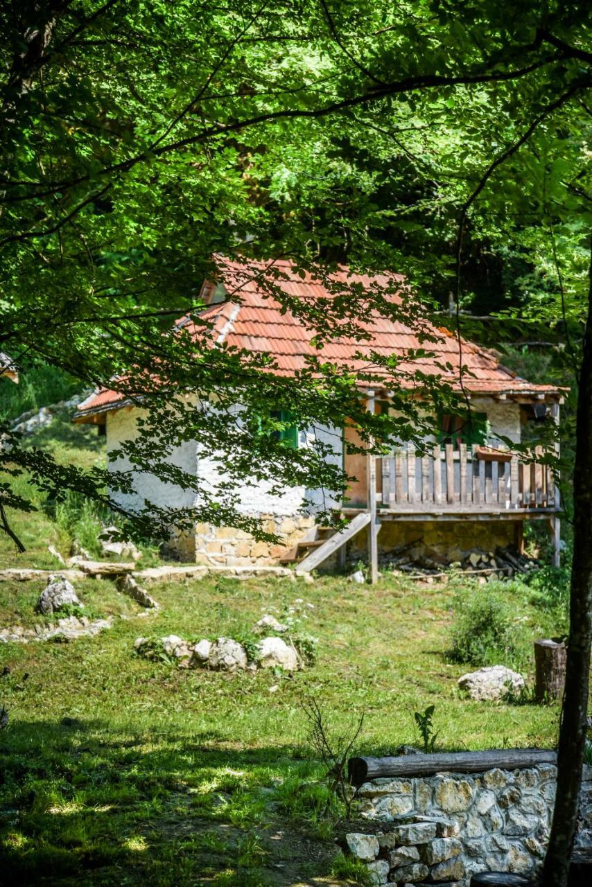 Отель Camp Divlja Rijeka Hum Экстерьер фото